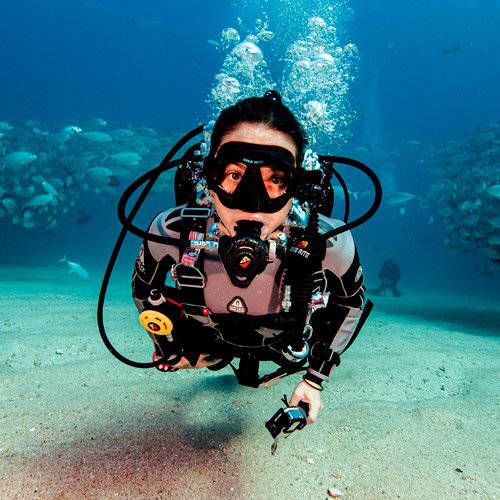 A diver hovering above the reef